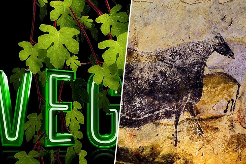 Best diet for 2019: Vegan or Paleo?